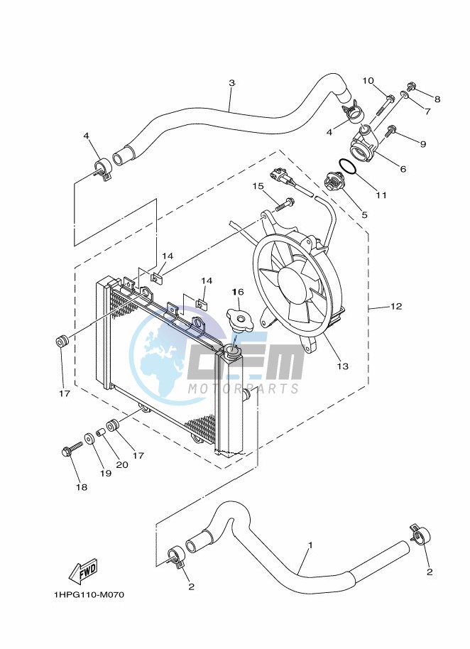 RADIATOR & HOSE