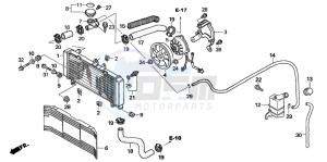 CBF600SA drawing RADIATOR (CB600N6/NA6)