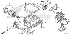 VFR1200X Europe Direct - (ED) drawing OIL PUMP (VFR1200X/XA/XL)