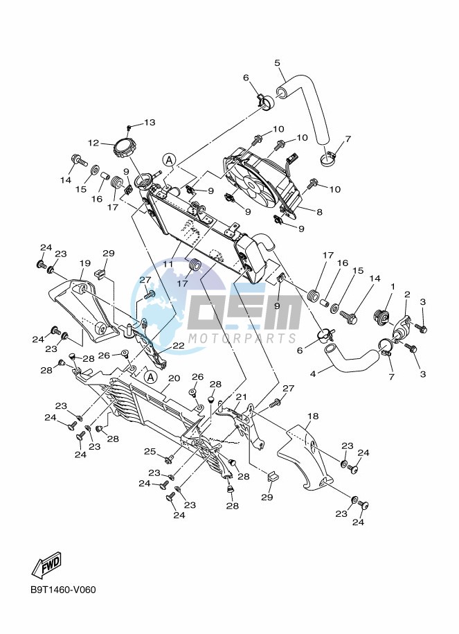 RADIATOR & HOSE