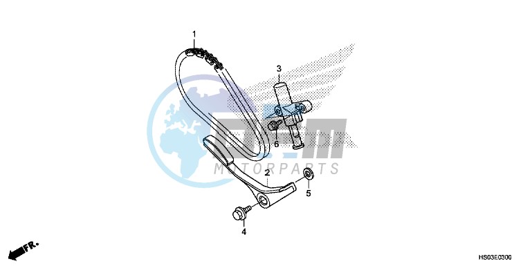 CAM CHAIN/TENSIONER