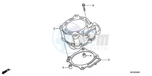 CRF250X9 Australia - (U) drawing CYLINDER