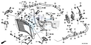 CBR600RRC drawing RADIATOR