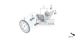 NSS125DF Forza 125 - NSS125D Europe Direct - (ED) drawing OIL PUMP