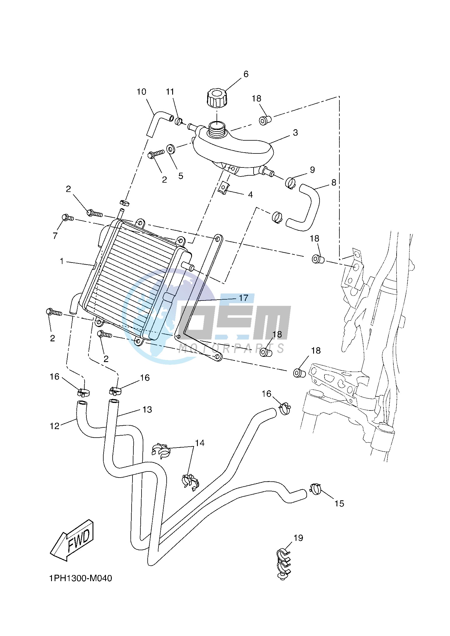 RADIATOR & HOSE