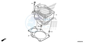 TRX500FA6F TRX500FA ED drawing CYLINDER