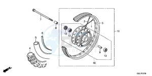 CRF50FD CRF50F Europe Direct - (ED) drawing FRONT WHEEL