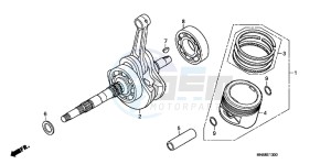 TRX250XB drawing CRANKSHAFT