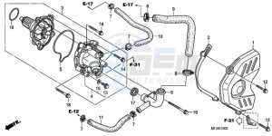 CBR600RR9 Europe Direct - (ED / SPC) drawing WATER PUMP