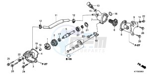 SH125B drawing WATER PUMP