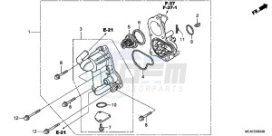 GL1800G GOLDWING 2ED drawing WATER PUMP