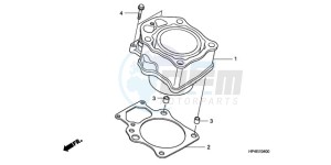 TRX420FMA Europe Direct - (ED / 2ED 4WD) drawing CYLINDER