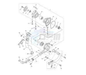 YZF R1 1000 drawing WATER PUMP