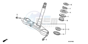 CBR600RRA Korea - (KO / ABS) drawing STEERING STEM