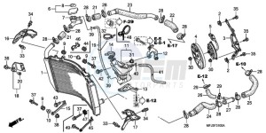 CBR600RR9 UK - (E / MME) drawing RADIATOR