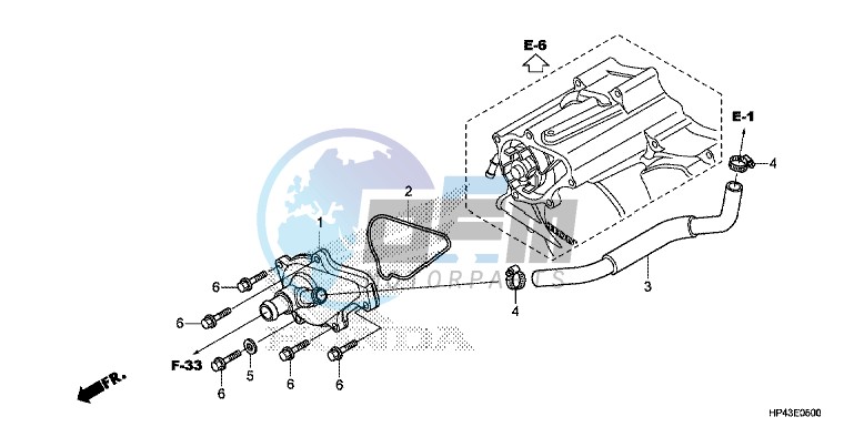 WATER PUMP COVER