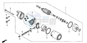 XL1000V VARADERO drawing STARTING MOTOR