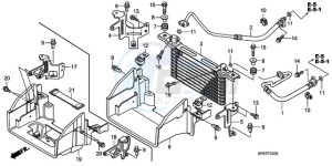 TRX500FMA Australia - (U) drawing OIL COOLER