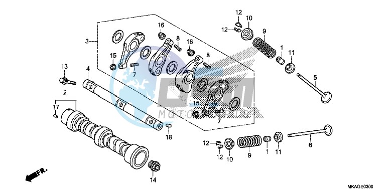 CAMSHAFT/ VALVE