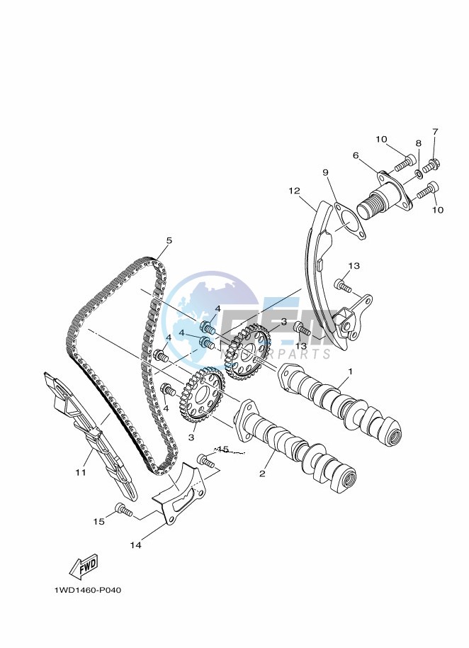 CAMSHAFT & CHAIN