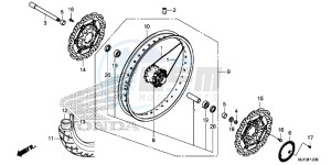 CRF1000AG CRF1000 - Africa Twin - ABS Europe Direct - (ED) drawing FRONT WHEEL