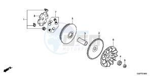 NSC50WHC drawing DRIVE FACE