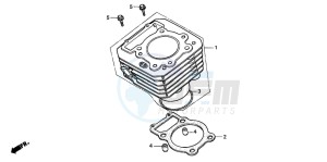 TRX300 FOURTRAX 300 drawing CYLINDER