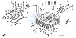 TRX250TM9 Australia - (U) drawing CYLINDER HEAD