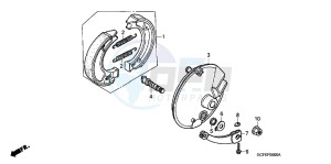 CRF70FB CRF70F ED drawing FRONT BRAKE PANEL