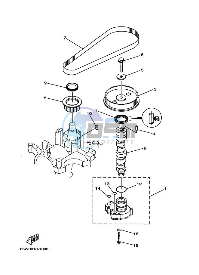 OIL-PUMP