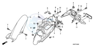 CBF125MA Europe Direct - (ED) drawing REAR FENDER