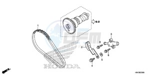 TRX500FM1F TRX500FM Europe Direct - (ED) drawing CAM CHAIN/TENSIONER