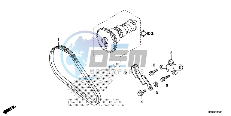 CAM CHAIN/TENSIONER