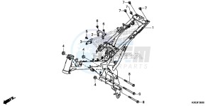 MSX125D MSX125 UK - (E) drawing FRAME BODY