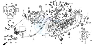 SFX50S drawing CRANKCASE/OIL PUMP