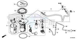 TRX420FA5G TRX420F Europe Direct - (ED) drawing FUEL PUMP