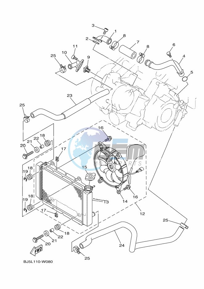 RADIATOR & HOSE