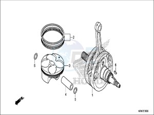 CRF250RH Europe Direct - (ED) drawing CRANKSHAFT/PISTON