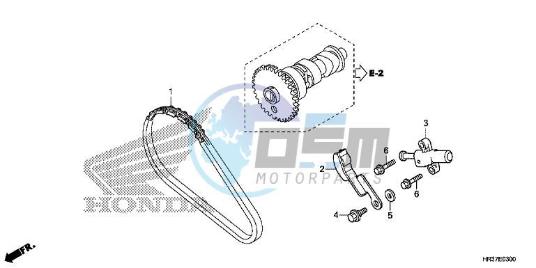 CAM CHAIN/TENSIONER