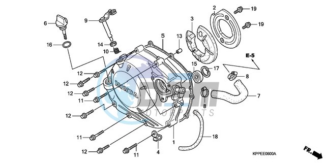 RIGHT CRANKCASE COVER