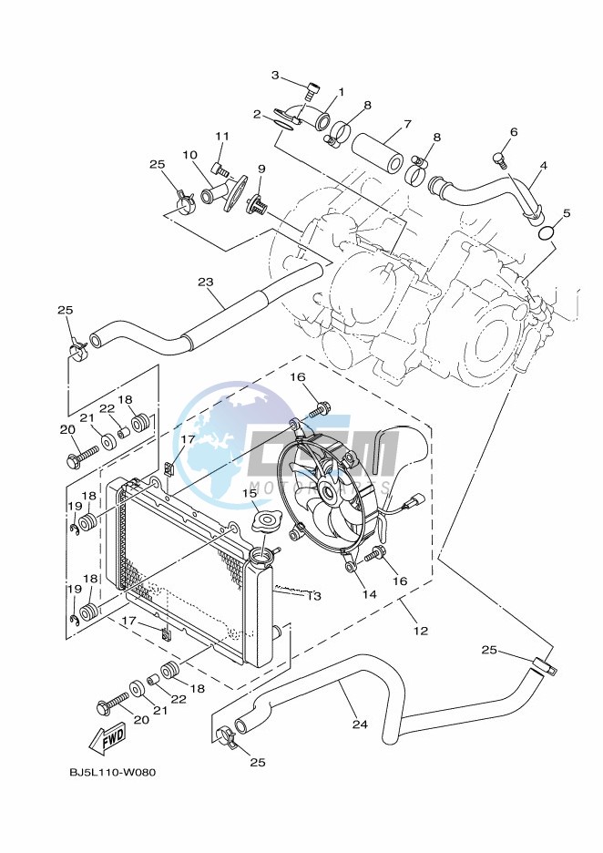 RADIATOR & HOSE