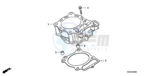 CRF150R9 Europe Direct - (ED) drawing CYLINDER