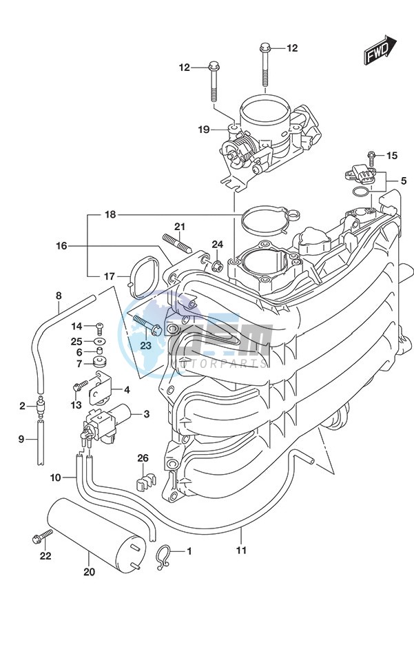 Intake Manifold/Throttle Body