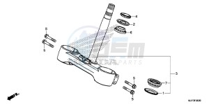 CRF1000AG CRF1000 - Africa Twin - ABS Europe Direct - (ED) drawing STEERING STEM