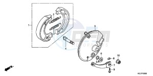 CRF100FC drawing FRONT BRAKE PANEL