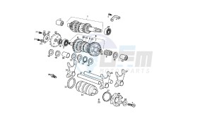 GPR REPLICA MALOSSI - 50 CC VTHGR1D1A 2T MALOSSI drawing GEAR BOX