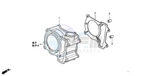 FES150A 125 S-WING drawing CYLINDER