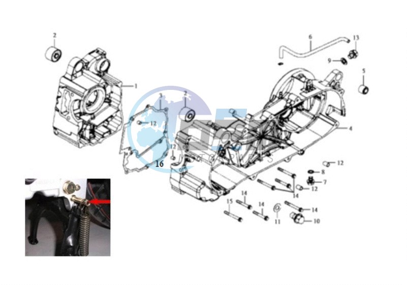 CRANKCASE RIGHT / START MOTOR