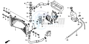 CBR600SE drawing RADIATOR