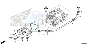 TRX420TE1E TRX420 ED drawing WATER PUMP COVER